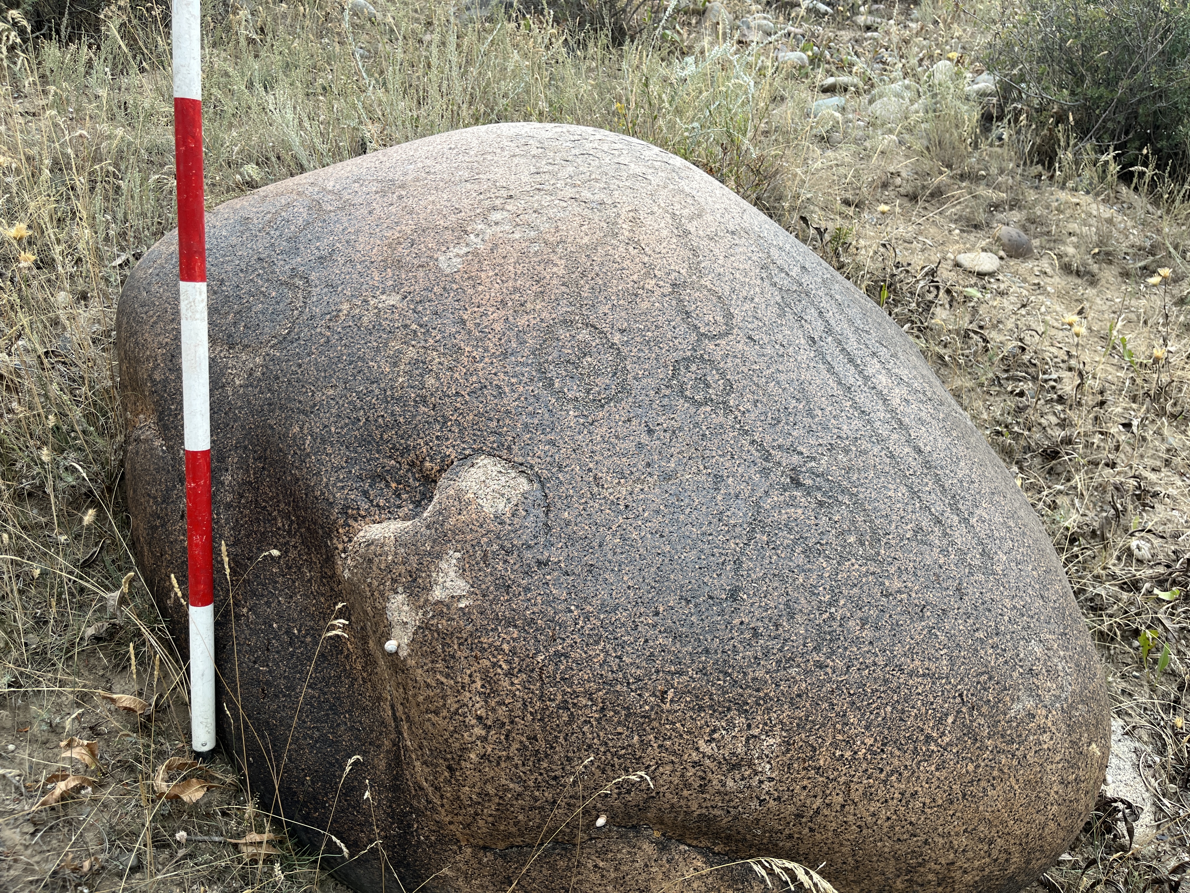 Bronze Age Rock Art Panel