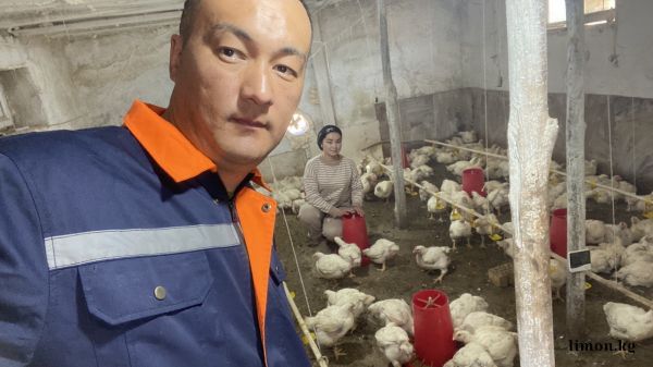 Jakypov Rysbek From Limonkg2