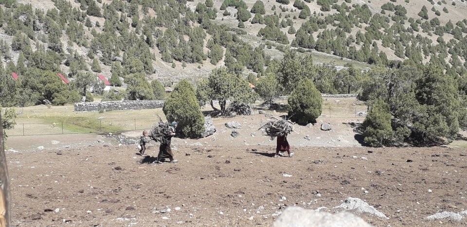 Two Women Carry Wood To Use For Household Purposes, Tajikistan