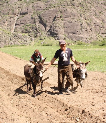 We See Law Mechanization Of The Agricuture, And For Migrant Family Labour Shortage Is Actual Problem