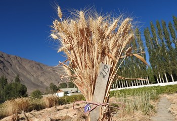 DSCN0315